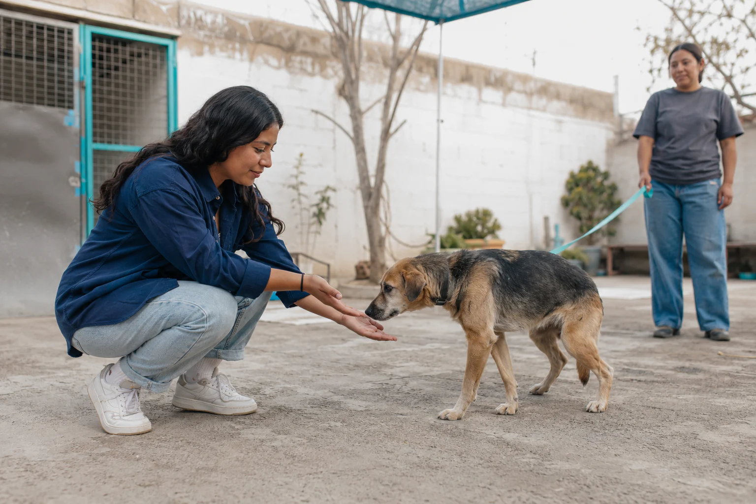 Una persona se acerca con calma a un perro durante un encuentro de adopción